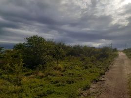  Land for sale in Calamuchita, Cordoba, Calamuchita