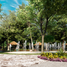  Land for sale in Conkal, Yucatan, Conkal, Yucatan, Mexico