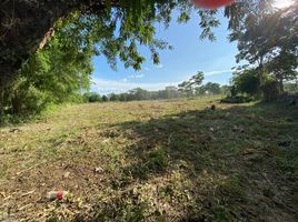  Land for sale in Cordoba, Monteria, Cordoba