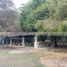 Allende, 누에 보 레온PropertyTypeNameBedroom, Allende