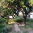  Land for rent in Apodaca, Nuevo Leon, Apodaca