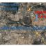  Land for sale in Ajacuba, Hidalgo, Ajacuba