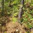  Land for sale in Mineral Del Chico, Hidalgo, Mineral Del Chico, Hidalgo