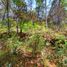  Land for sale in Mineral Del Chico, Hidalgo, Mineral Del Chico, Hidalgo
