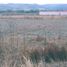  Land for sale in San Jose Iturbide, Guanajuato, San Jose Iturbide