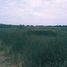  Land for sale in San Jose Iturbide, Guanajuato, San Jose Iturbide