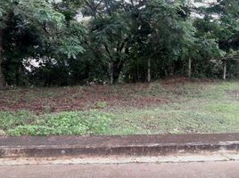  Terreno (Parcela) en venta en Cebu City, Central Visayas, Cebu City, Cebu, Central Visayas, Filipinas