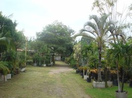  Grundstück zu verkaufen in Cuernavaca, Morelos, Cuernavaca, Morelos