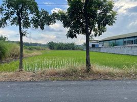  Grundstück zu verkaufen in Gresik, East Jawa, Gresik, Gresik