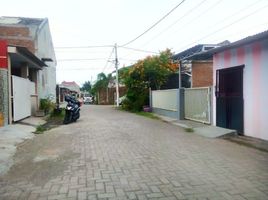 2 Kamar Rumah for rent in Jember, East Jawa, Sumbersari, Jember