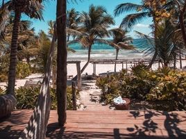  Land for sale in Cozumel, Quintana Roo, Cozumel, Quintana Roo