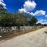  Land for sale in Kinchil, Yucatan, Kinchil