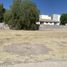  Land for sale in Jesus Maria, Aguascalientes, Jesus Maria