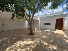Maison 3 chambre à vendre à Conkal, Yucatan, Conkal