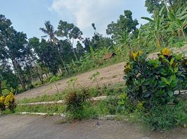  Land for sale in Prambanan, Klaten, Prambanan