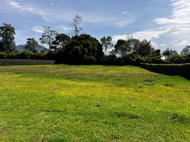  Land for sale in El Carmen De Viboral, Antioquia, El Carmen De Viboral