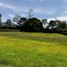  Land for sale in El Carmen De Viboral, Antioquia, El Carmen De Viboral