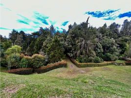 Terrain à vendre à Retiro, Antioquia, Retiro