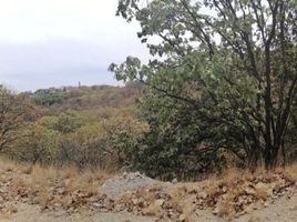 Terrain à vendre à Zapopan, Jalisco, Zapopan, Jalisco