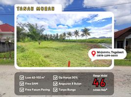  Land for sale in Bangorejo, Banyuwangi, Bangorejo