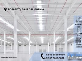 Estudio Villa en alquiler en Tijuana, Baja California, Tijuana, Baja California
