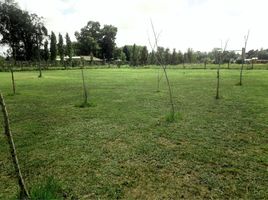  Land for sale in San Vicente, Buenos Aires, San Vicente