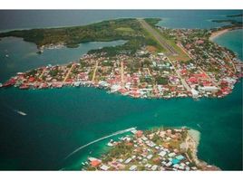  Terreno (Parcela) en venta en Bocas del Toro, Changuinola, Changuinola, Bocas del Toro