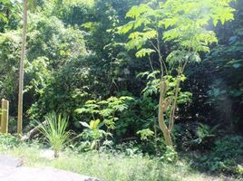 Terreno (Parcela) en venta en Cebu City, Central Visayas, Cebu City