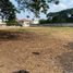  Land for sale in Samborondon, Guayas, Samborondon, Samborondon