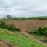  Land for sale in Balzar, Guayas, Balzar, Balzar