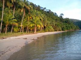  토지을(를) San Vicente, 팔라완에서 판매합니다., San Vicente