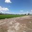  Land for sale in Jagonalan, Klaten, Jagonalan