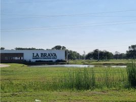  Terrain for sale in Libertad, Chaco, Libertad