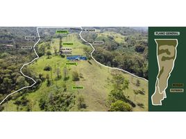  Land for sale in Quindio, Calarca, Quindio