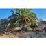  Land for sale in Chile, Quilpue, Valparaiso, Valparaiso, Chile