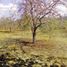  Land for sale in Tomatlan, Jalisco, Tomatlan