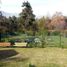  Land for sale in Chile, Santiago, Santiago, Santiago, Chile