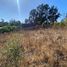  Land for sale in Chile, Puchuncavi, Valparaiso, Valparaiso, Chile