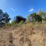  Land for sale in Chile, Puchuncavi, Valparaiso, Valparaiso, Chile