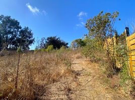  Land for sale in Chile, Puchuncavi, Valparaiso, Valparaiso, Chile