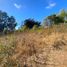  Land for sale in Chile, Puchuncavi, Valparaiso, Valparaiso, Chile