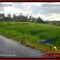  Land for sale in Selemadeg, Tabanan, Selemadeg