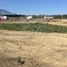 Allende, 누에 보 레온PropertyTypeNameBedroom, Allende