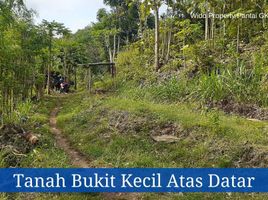  Land for sale in Tepus, Gunung Kidul, Tepus