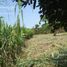 在Coatzacoalcos, Veracruz出售的 土地, Coatzacoalcos