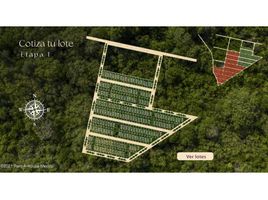  Land for sale in Tixkokob, Yucatan, Tixkokob