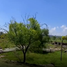  Land for sale in Alfajayucan, Hidalgo, Alfajayucan