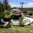  Land for sale in Alfajayucan, Hidalgo, Alfajayucan