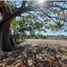  Land for sale in Tuxtla Gutierrez, Chiapas, Tuxtla Gutierrez, Chiapas