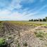  Terreno (Parcela) en venta en Salamanca, Guanajuato, Salamanca